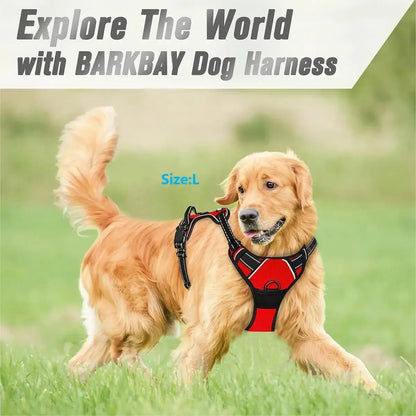 Harnais
